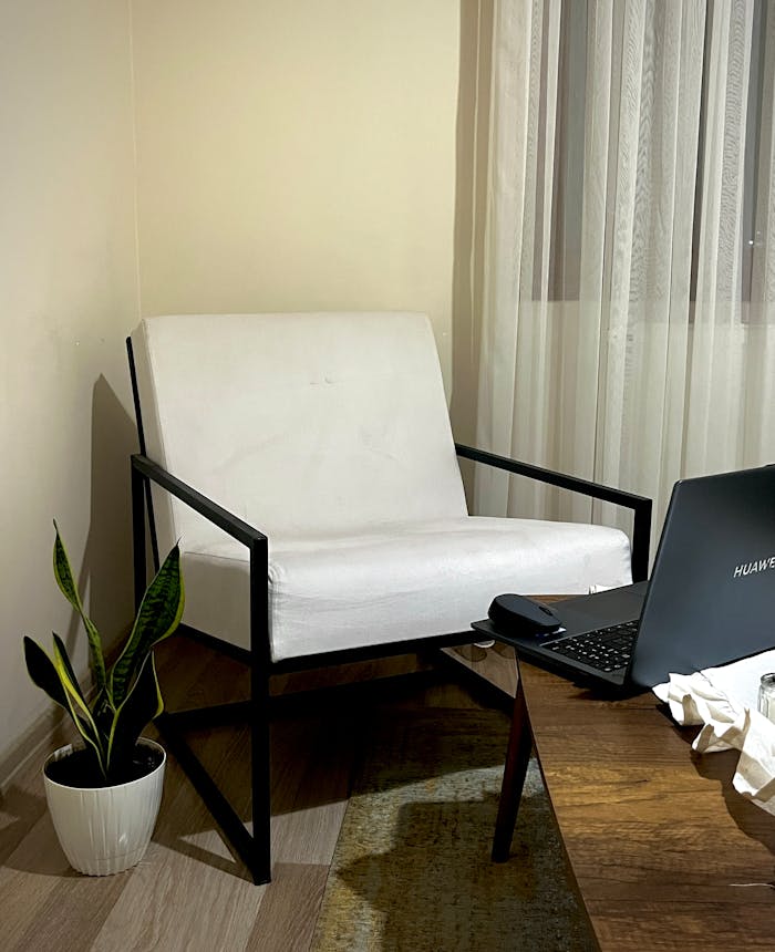 A cozy workspace featuring a modern chair, laptop, and a potted sansevieria plant.