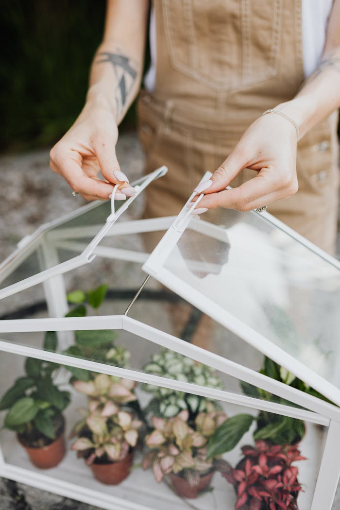 journey-02 A woman tends to potted plants in a small tabletop greenhouse.