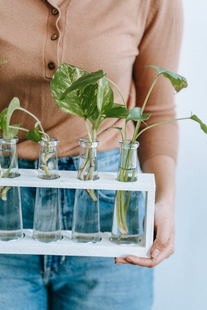 A woman holds a wooden tray with glass vases containing tropical plants, focus on green leaves.