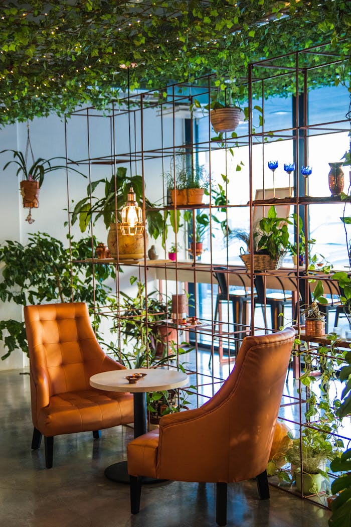 trusted-partner Inviting café corner with lush plants and cozy seating, perfect for relaxation.