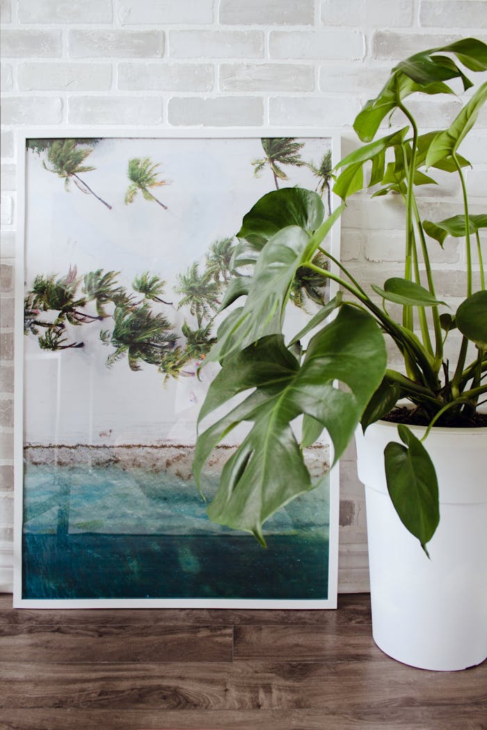 A stylish interior scene featuring a Monstera plant and a tropical beach print on a brick wall.